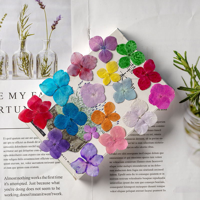 60Pcs Anna Hydrangea Color-Abs - Dried Flower Bookmark ulasan dan harga